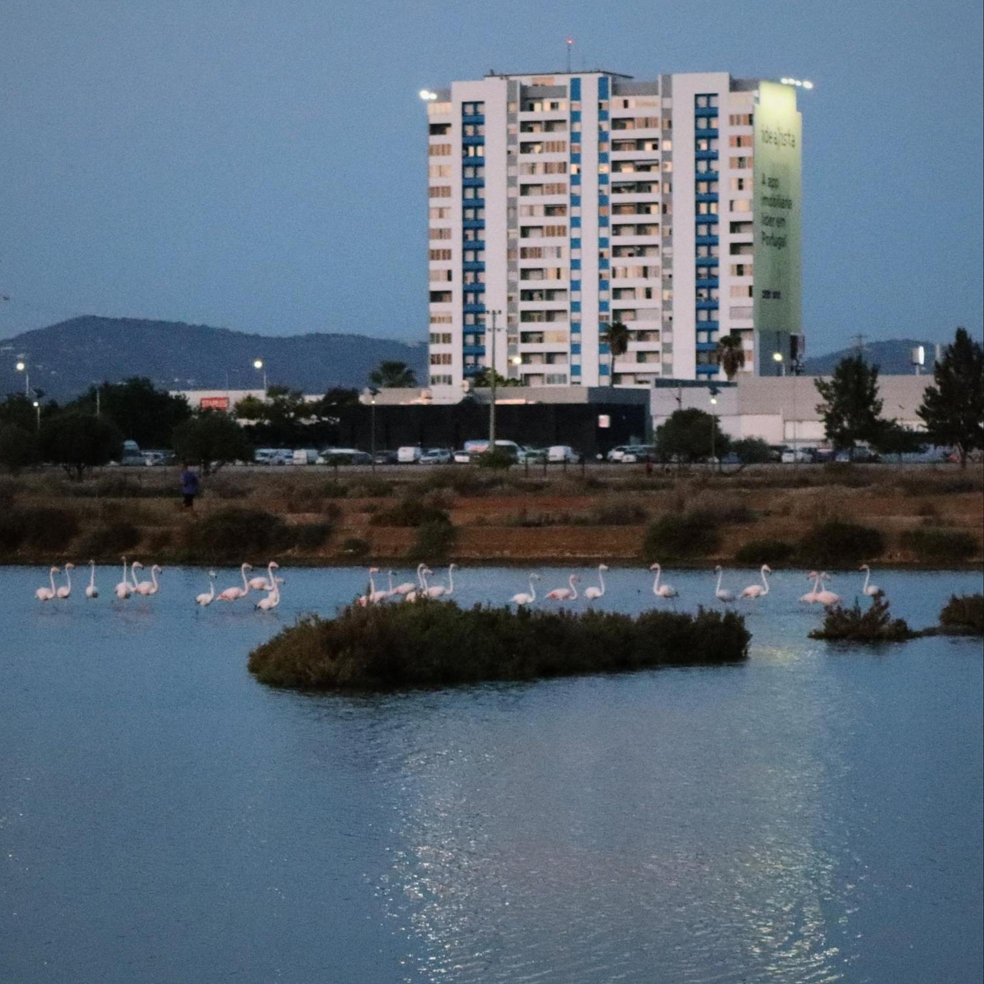 Sea View Apartment FAO Exterior photo